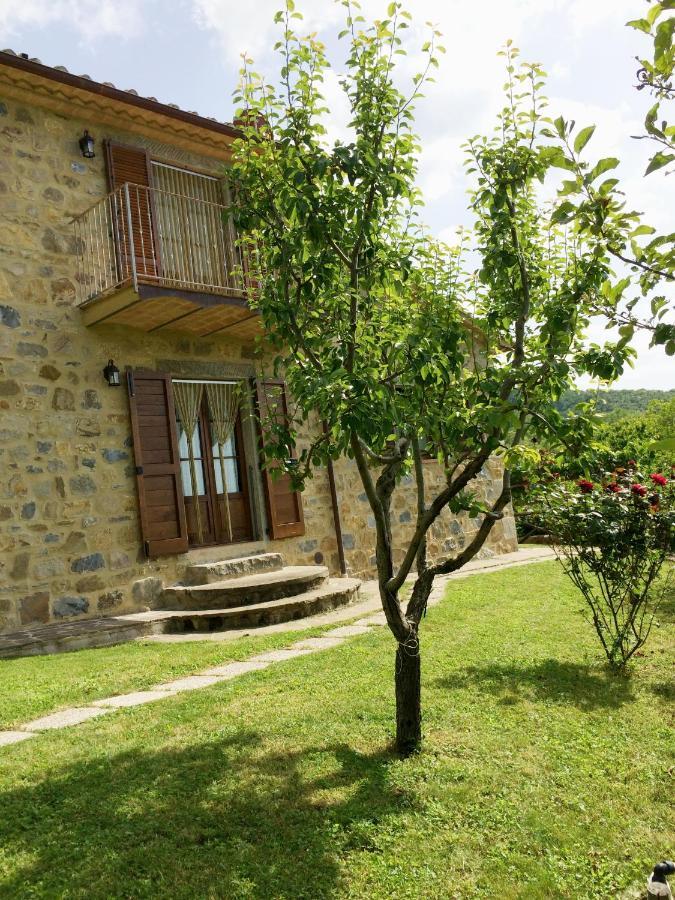 Agriturismo Ombianco Seggiano Eksteriør billede